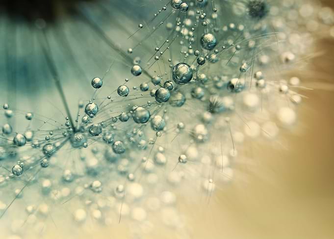 Sea green Sparkles