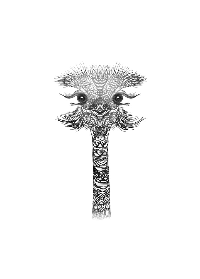OSTRICH