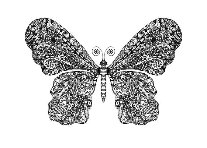 BUTTERFLY