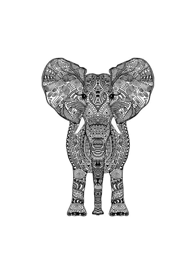 ELEPHANT