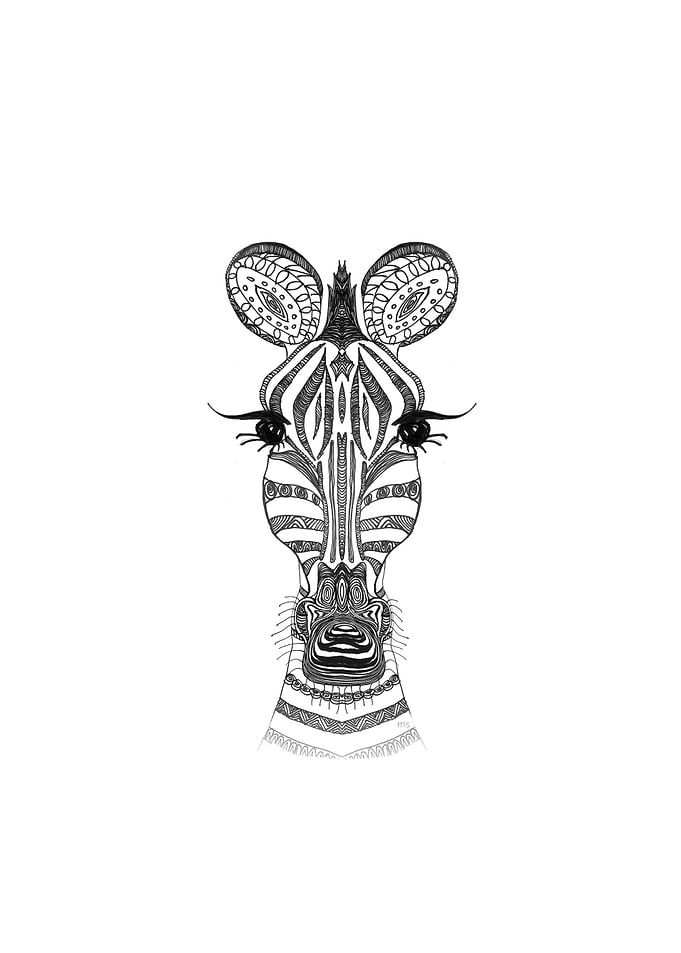ZEBRA