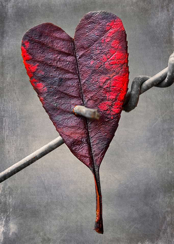 Broken Love