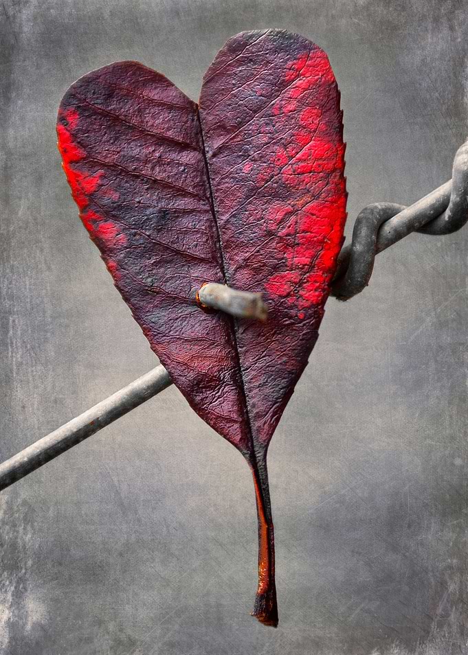 Broken Love