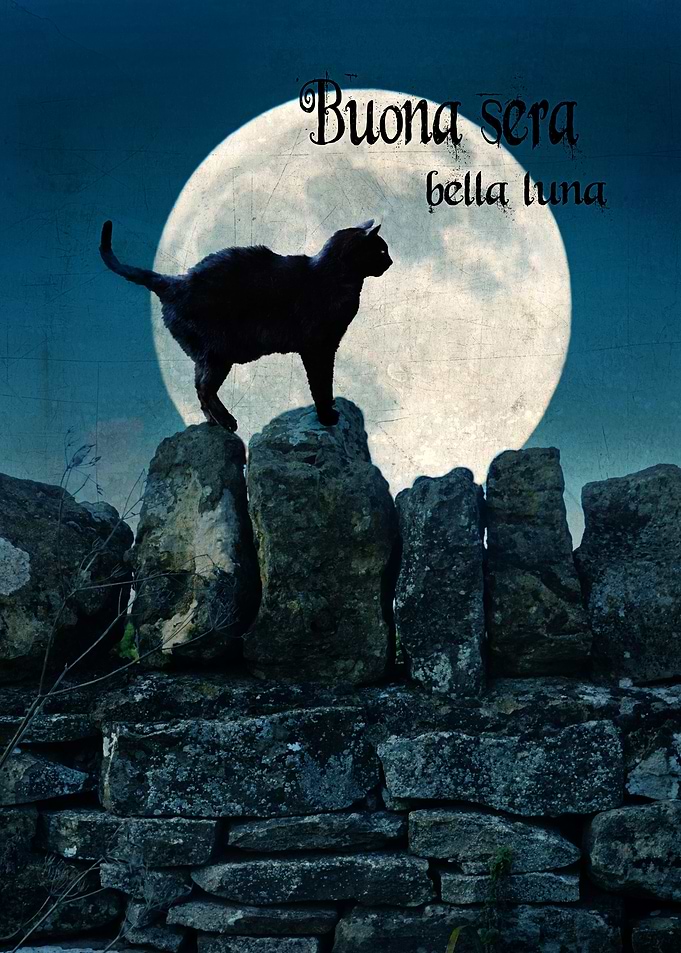 Buona Sera Bella Luna