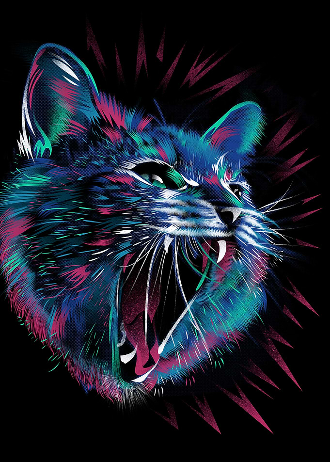 WILD CAT