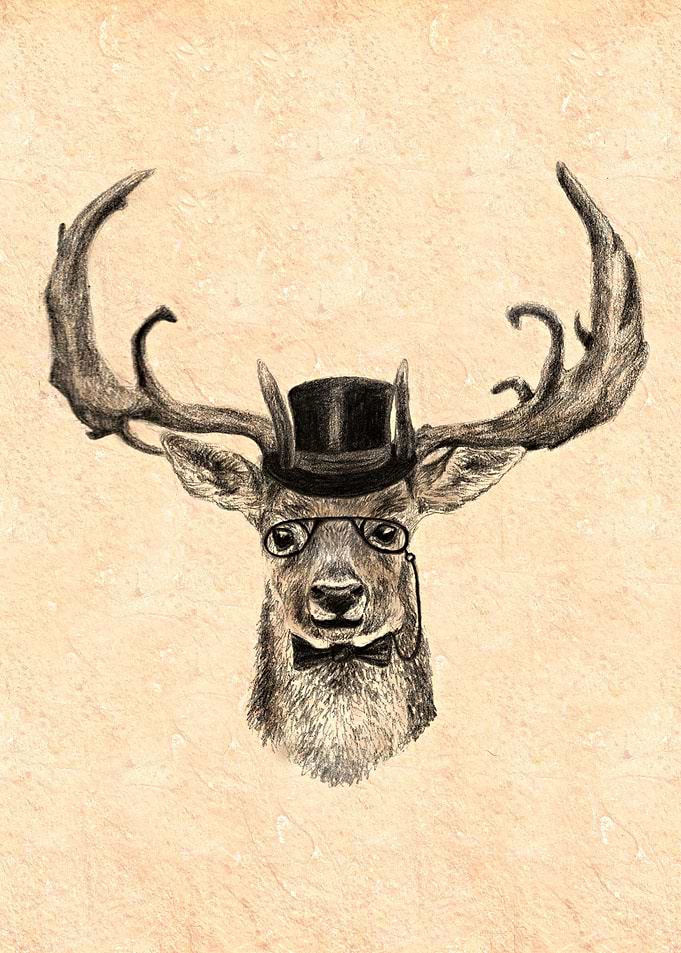 Mr Deer