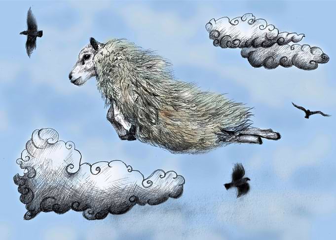 Flying sheep