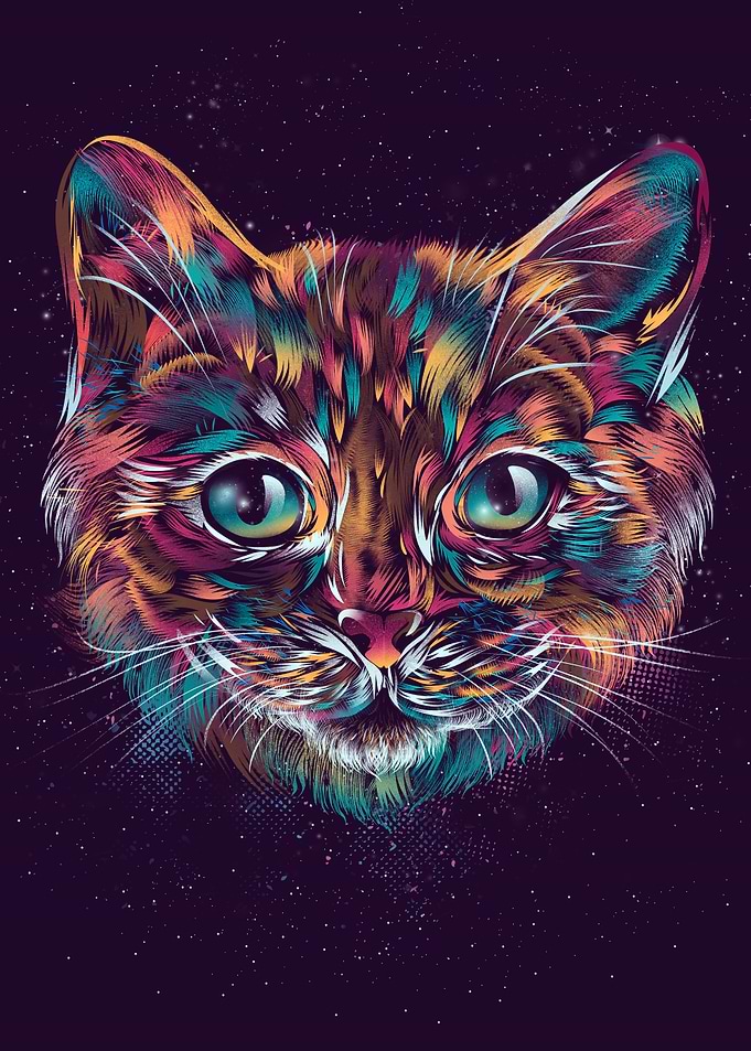 Space Cat