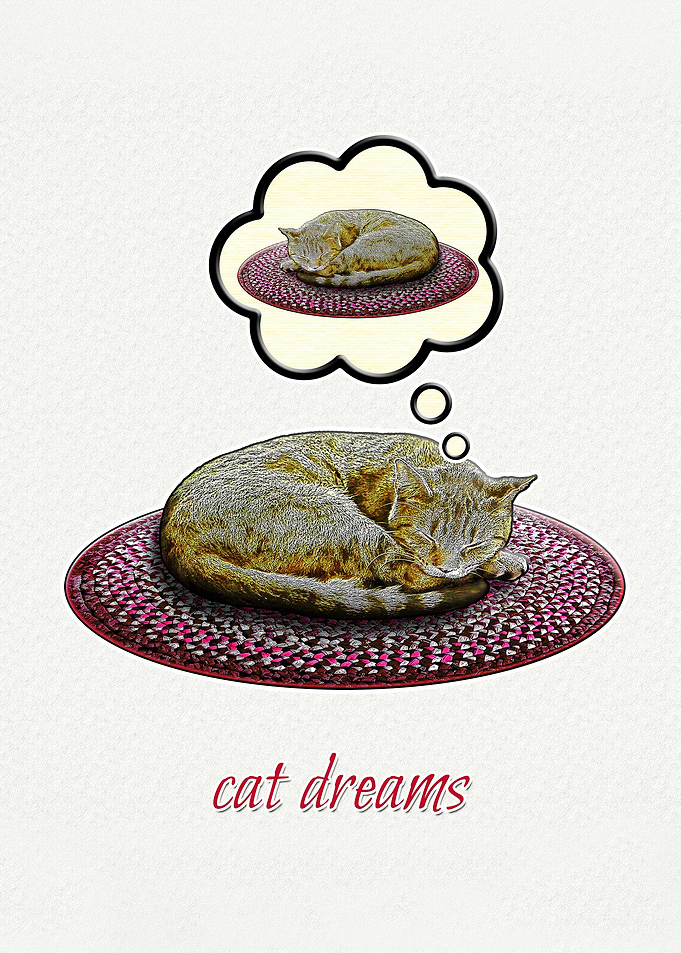 Cat Dreams