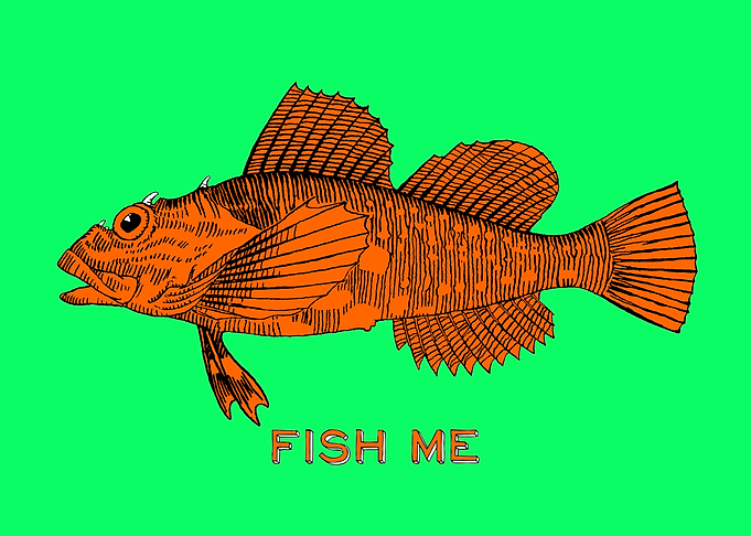 orange fish and 'Fish me' for the typo