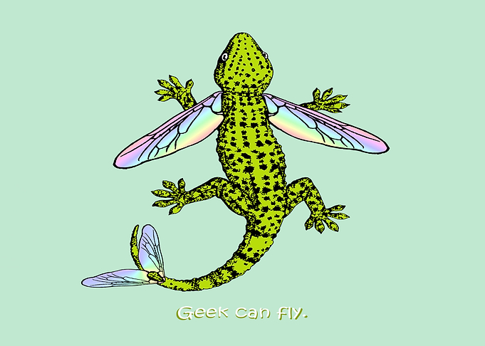 Geek can fly.