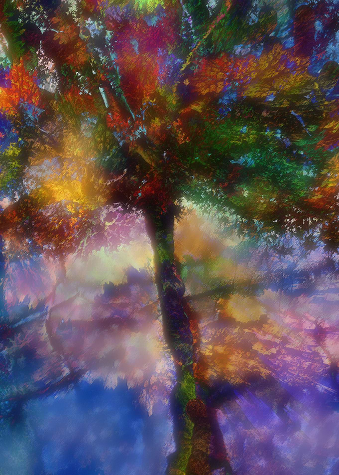 Flavours of Autumn