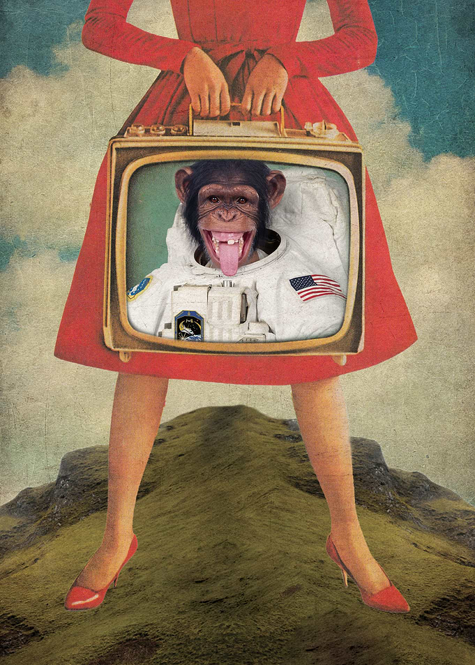 Monkey See Monkey Do