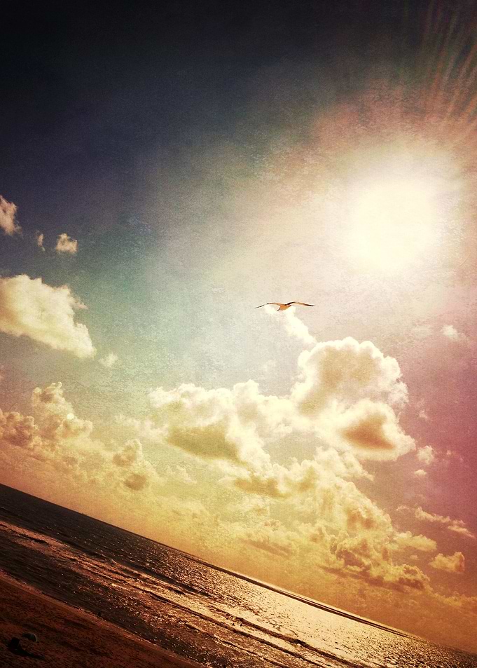 fly to the sun