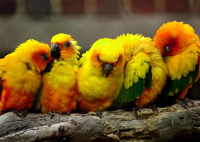 Huddled up