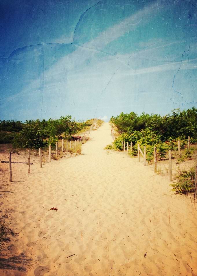 wild beach