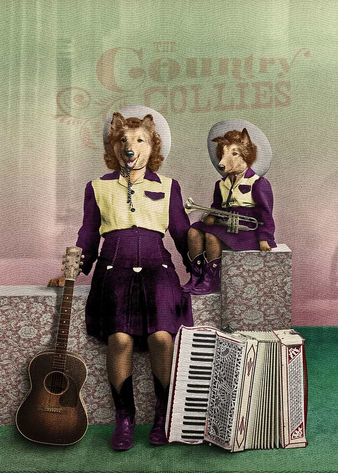 The Country Collies