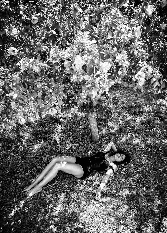 Ophelia's Dreams