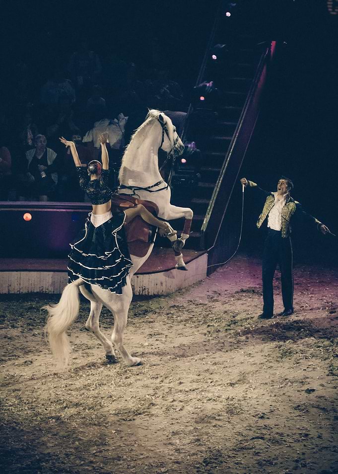 Budapest Circus