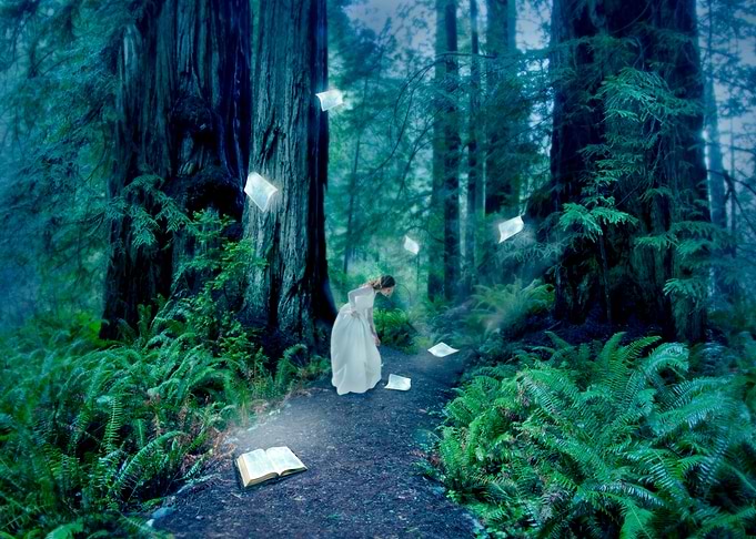 The Book to Light Her Way