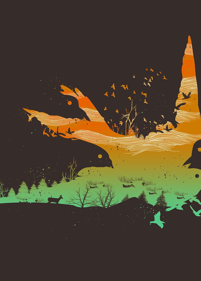Fly Away Home