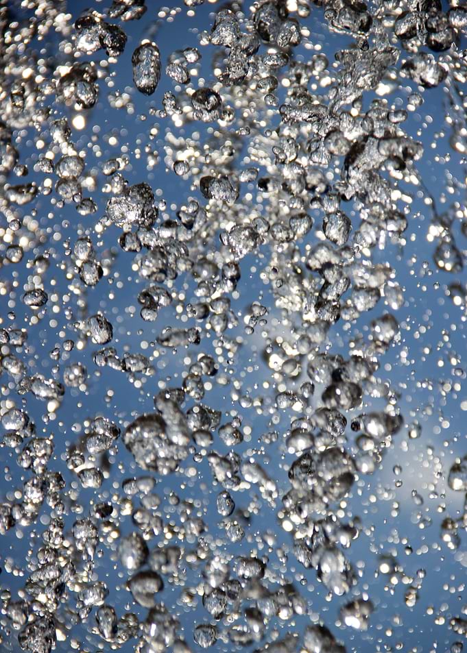 Summer Shower