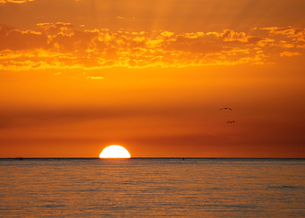 Sanibel Sunset