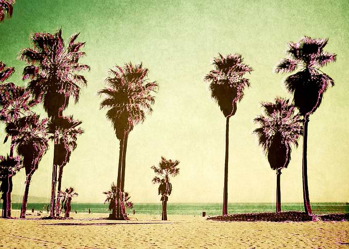 electric palm trees