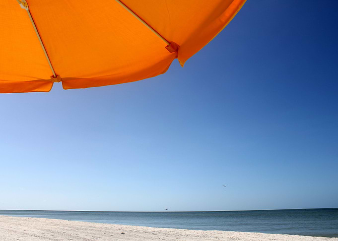 Under the Umbrella