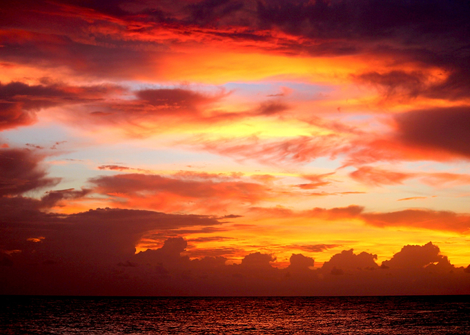 Painted Sunset
