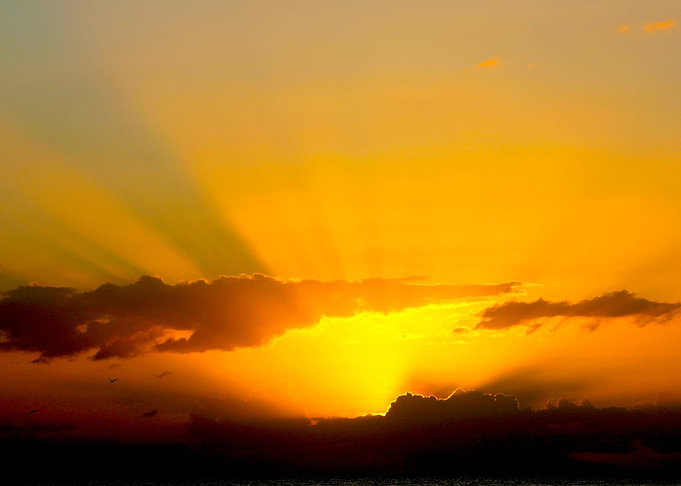 Sunbeam Sunset