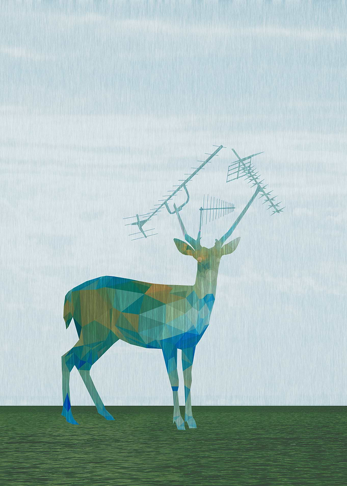 Urban Deer