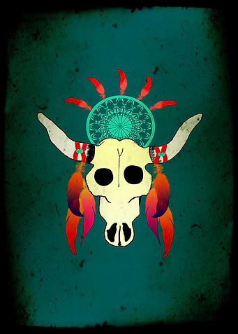 Buffalo skull