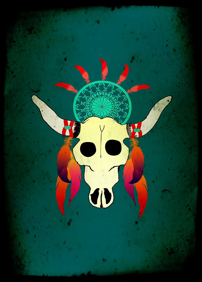 Buffalo skull