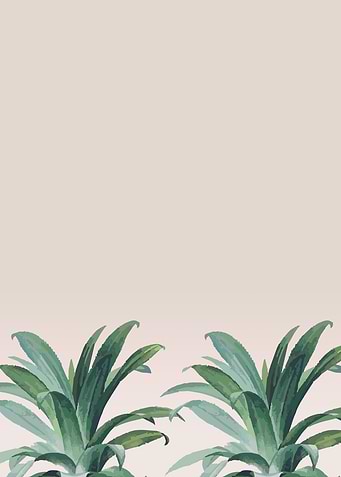 Aloe