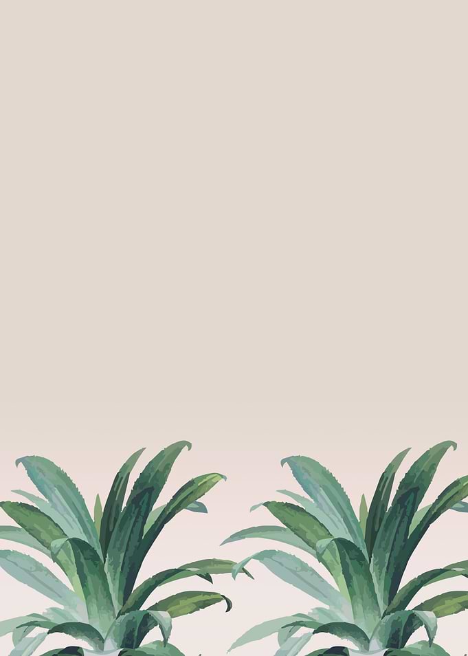 Aloe