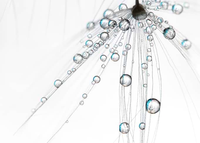 Ice White Drops