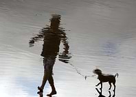 Surreal walk