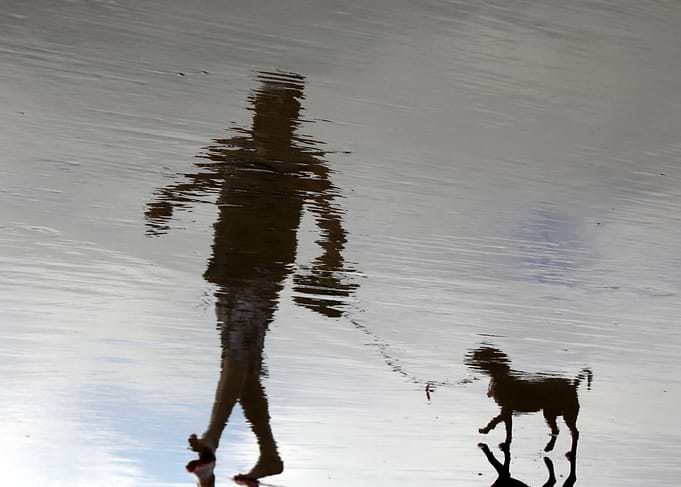 Surreal walk