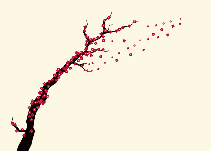 Sakura