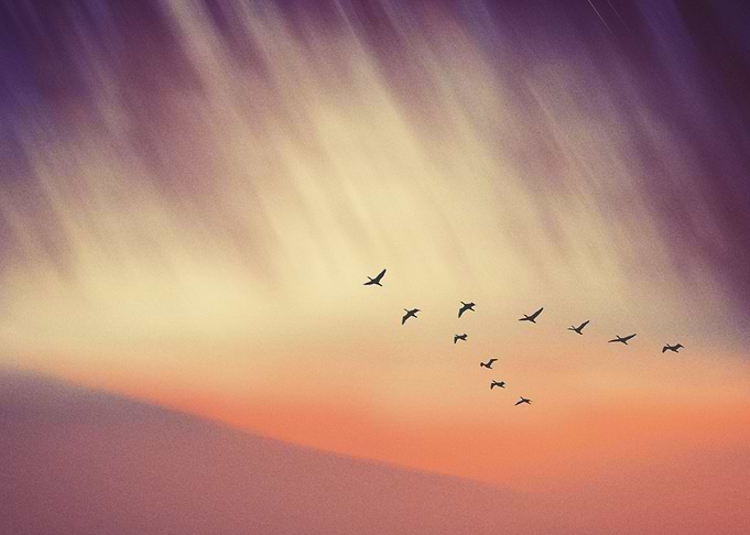 Falling Skies