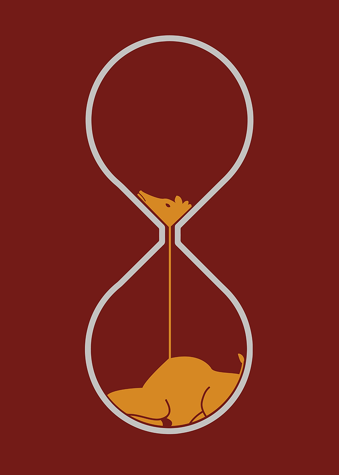 giraffe hourglass