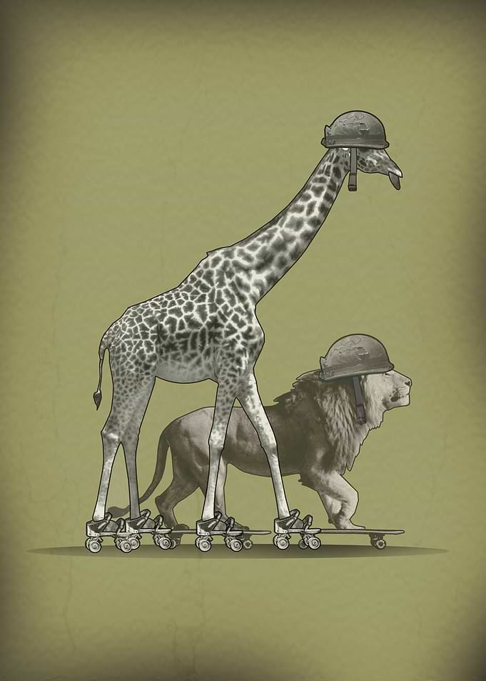Skate humor Safari