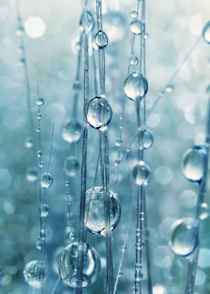 Blue Grass Drops II