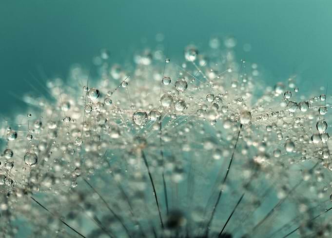Cyan Sparkles