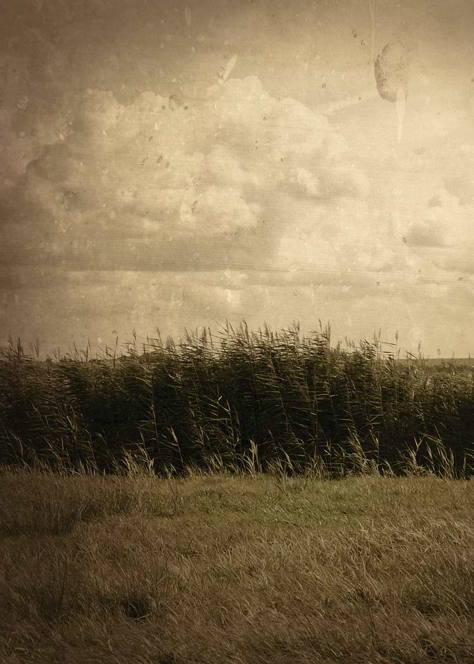 Holland
