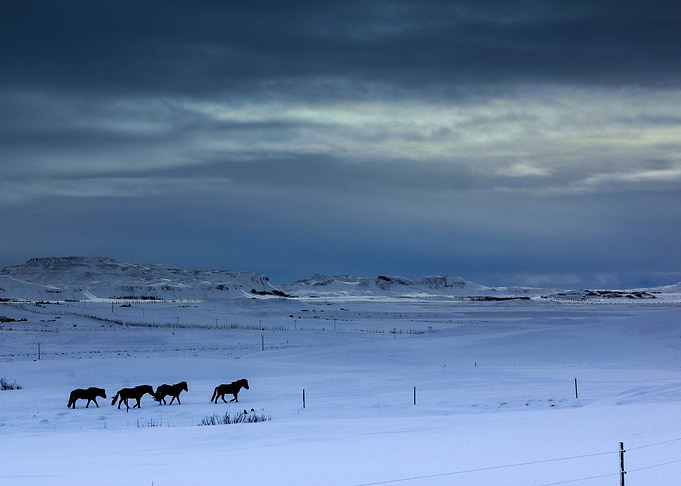Winter