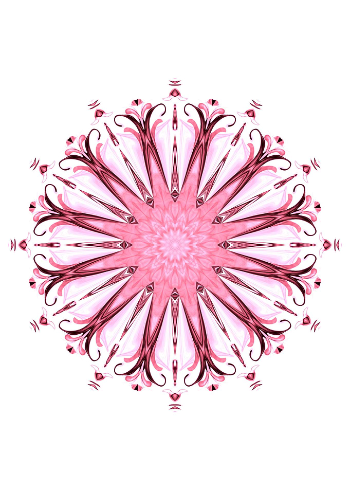 beuatiful pink floral sanskrit on white background