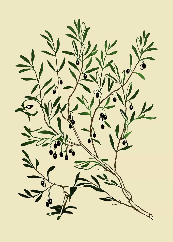 peace pigeon