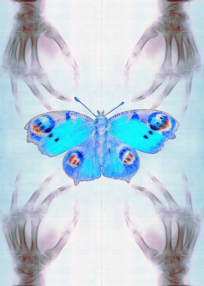Experiment 1: Metamorphosis